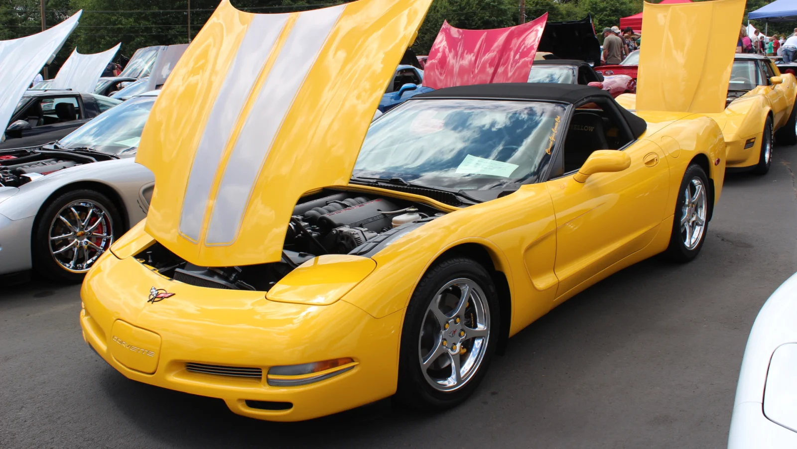 Corvette Generations/C5/C5 Yellow -C5.webp
